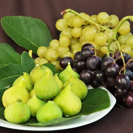 Διαμέρισμα Sea View